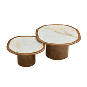 Irregular Coffee Table set, 2pcs burl Wood Veneer Coffee Table,Sintered Stone Tabletop Table with Sturdy MDF Pedestal, Rounded Sofa Side Table for living Room,Office
