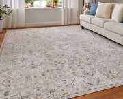 Pasha Transitional Distressed, Taupe/Ivory/Blue
