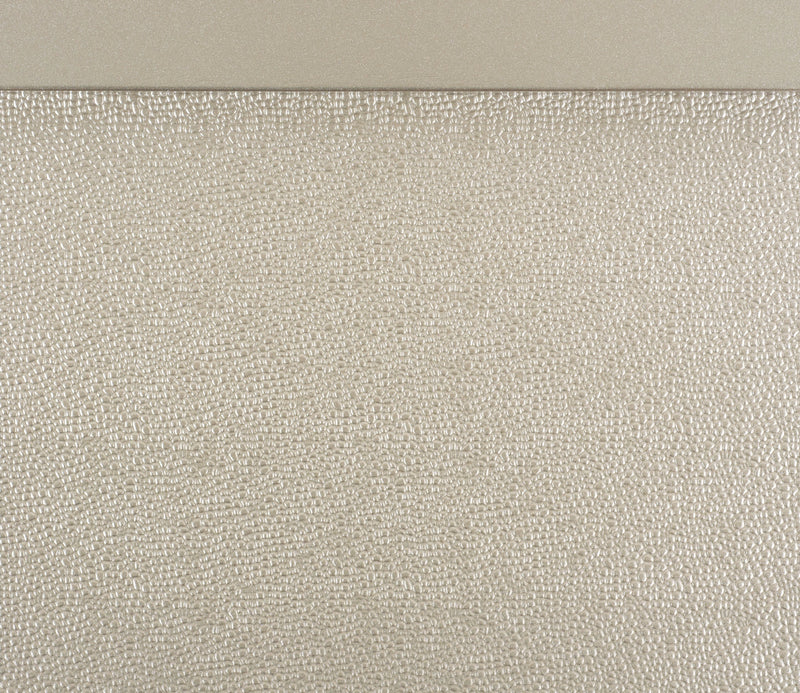 Modern Glam Silver Finish Queen Bed Button-Tufted Faux Leather Upholstery Texture Panels Bedroom Furniture 1pc