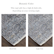 Sarrant Transitional Distressed, Gray/Silver/Ivory