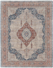 Marquette Transitional Medallion, Gray/Red/Blue