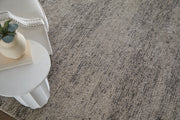 Jameson Modern Distressed, Gray/Ivory