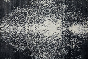 Coda Modern Abstract, Black/White