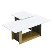 Modern TV Stand And Coffee Table (Set of 2)