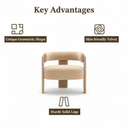 Accent Chair for Living Room, Velvet Comfy Single Sofa Chair Mid-Century Modern Armchair Wooden Legs for Bedroom Office Reading