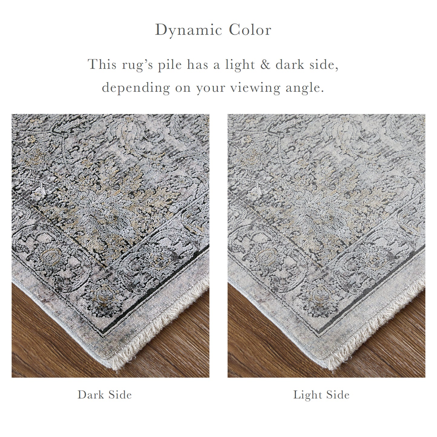 Sarrant Transitional Damask, Gray/Silver/Tan