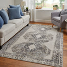 Switch Kano Transitional Distressed, Ivory/Taupe/Gray 2 image