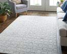 Switch Redford Transitional Solid, White/Silver 2 image
