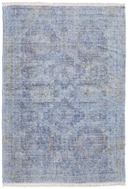 Caldwell Transitional Distressed, Blue/Ivory